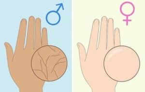 3 Aplicaciones para Adivinar el Sexo de tu Bebé