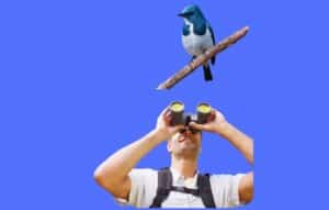 La observación de aves