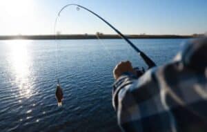 Descubre el secreto del sonar de pesca