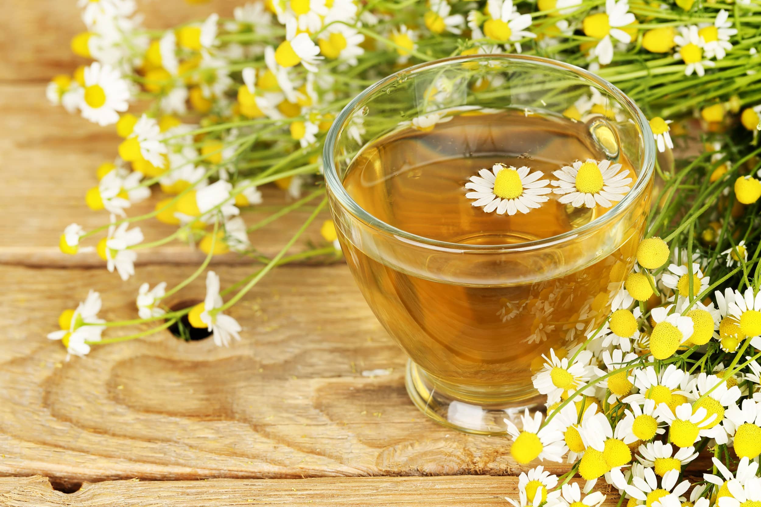 Descubre los Beneficios de los Tés para el Insomnio: Una Solución Natural para Dormir Mejor