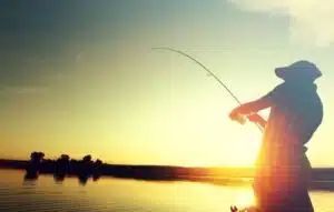 Pesca Perfecta
