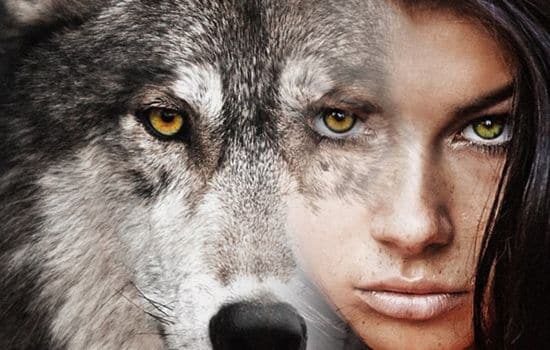 Encuentra tu Alma Animal