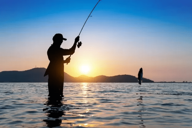 Las Mejores Aplicaciones de Sonar para Pesca