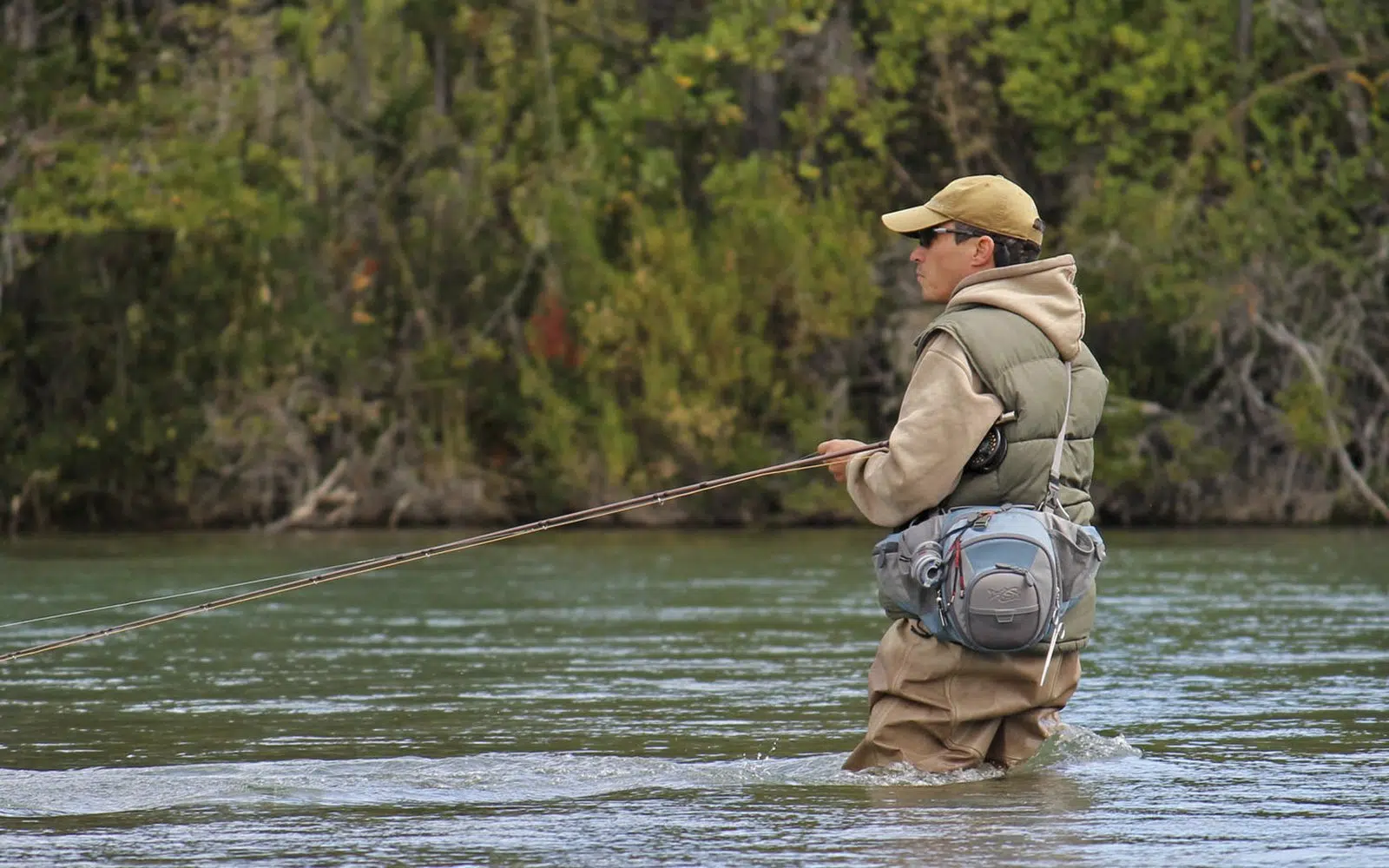 Aplicaciones Para Sonar de Pesca: Tecnología Que Lleva Tu Pasión al Siguiente Nivel