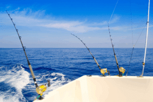 Revoluciona tu Pesca con FishFinder