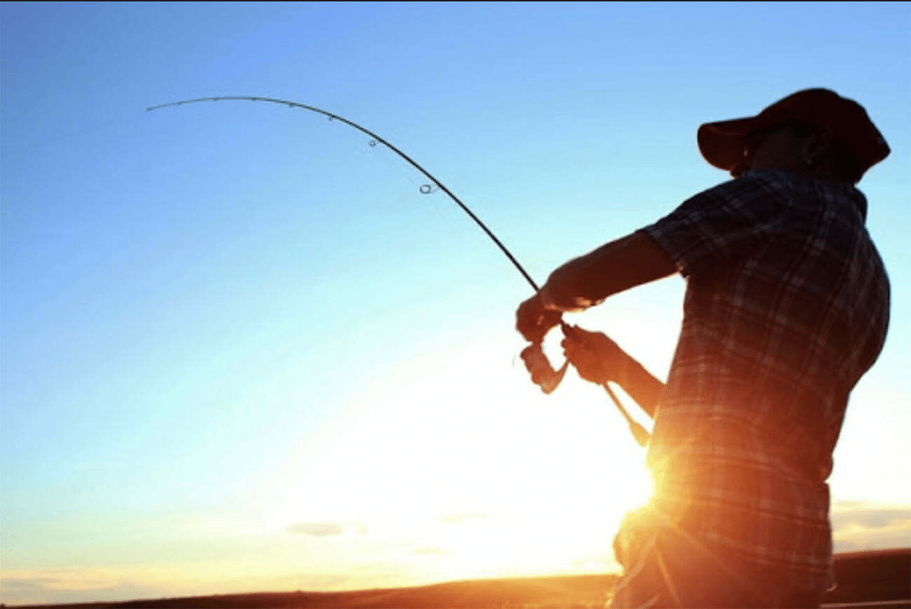 Pesca Magistral: Sonar Revela Secretos