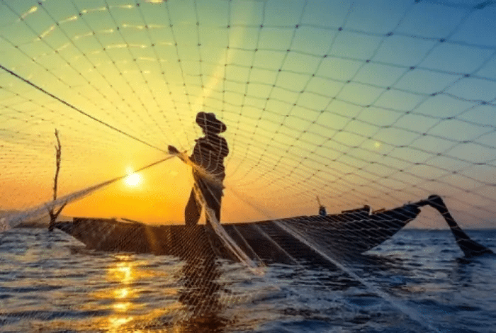 Domina el Sonar y Pesca Mejor