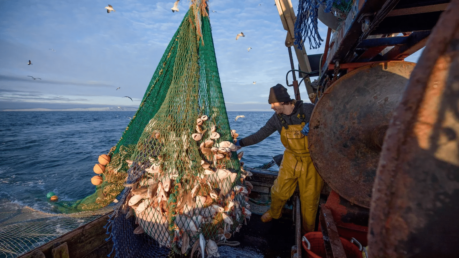 Pescadores: Éxito en Alta Mar con Sonar