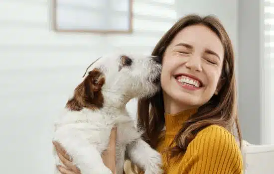 Cuidando a tu perro: enfermedades ocultas
