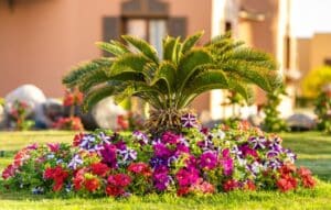 Aplicaciones Mágicas para Jardineros Digitales