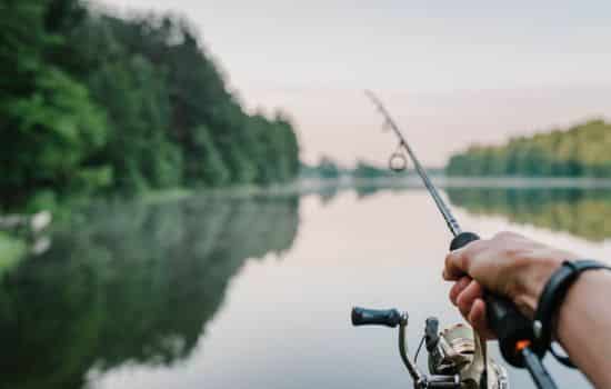 ¡Atrapa Más con Nuestro Radar!